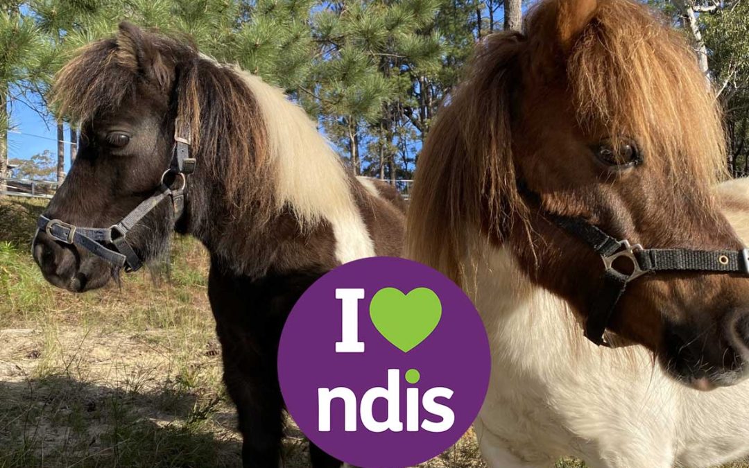 NDIS Update October 2024